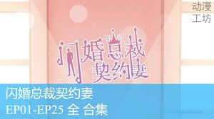 闪婚总裁契约妻